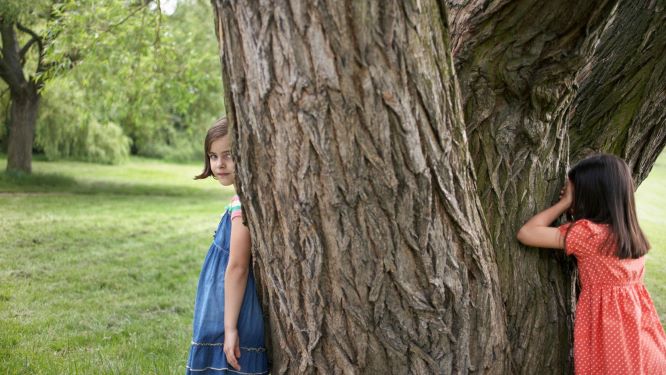15 Hide And Seek Variations - Twists On The Classic Game - Early Impact  Learning